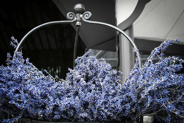 Blumen und Gewürze