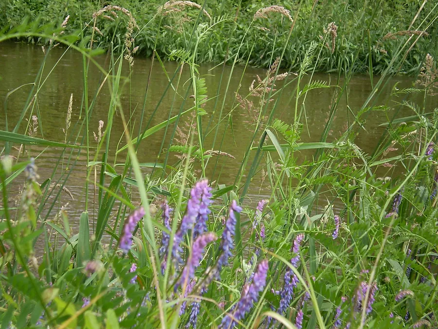 2009_06_P6280015