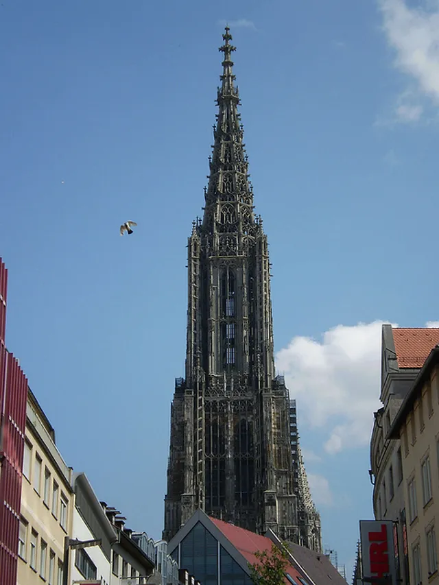 Friedenstaube