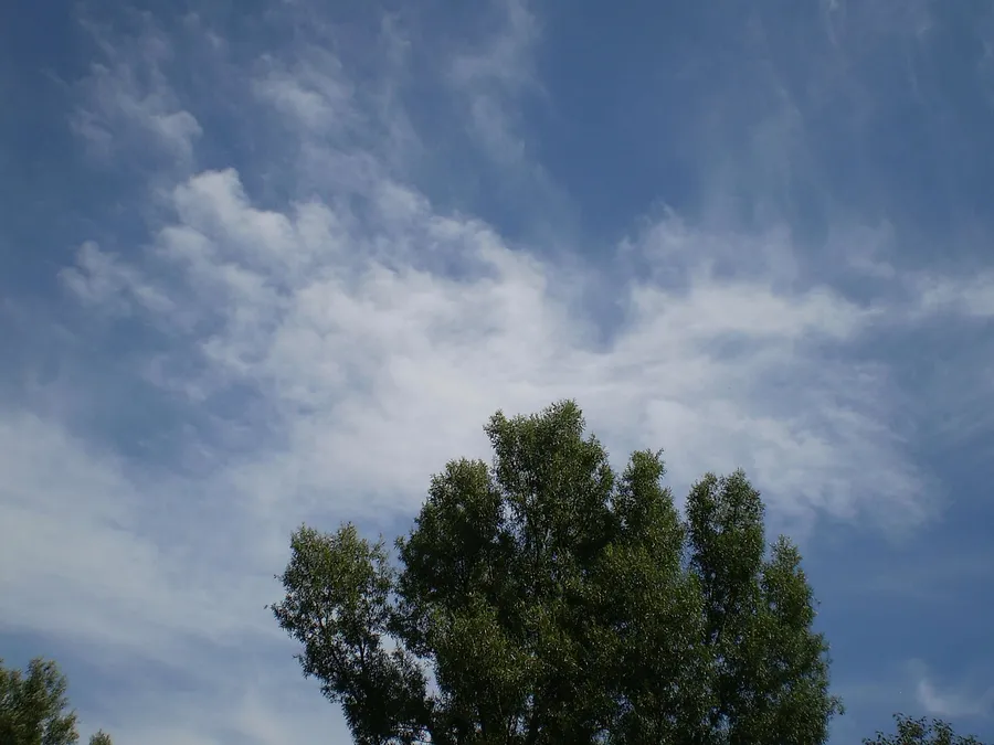 2011_08_pc150027