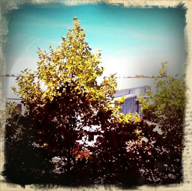 Herbstgedanken