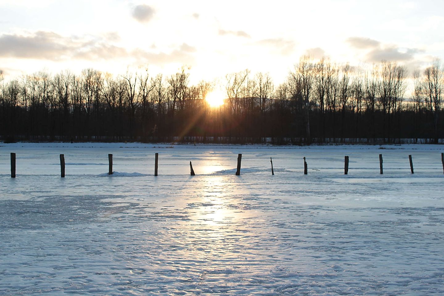 2012_02_img_8807
