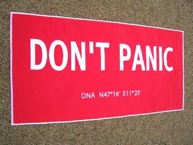 `Das original Fan-Towel`