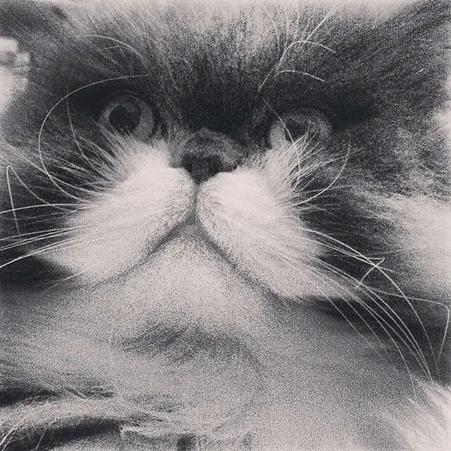 `Schmusen?`