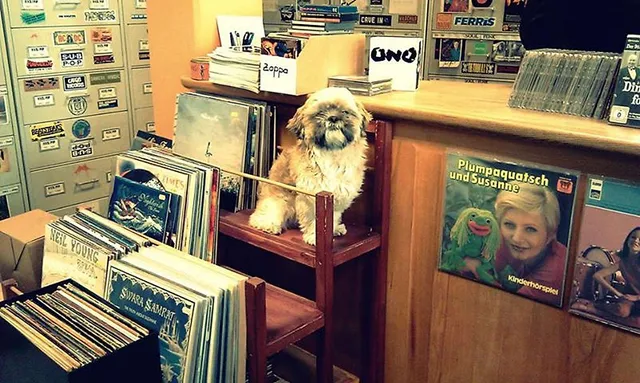Da ist Musik drin