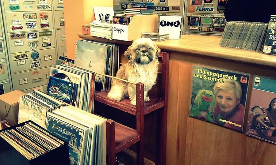 2013_11_chico