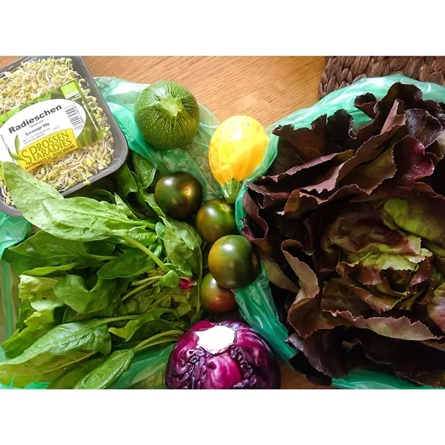 `My Vegan Diary`
