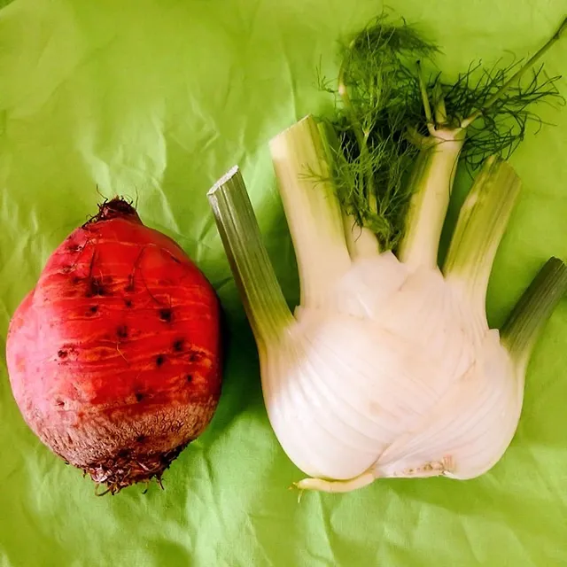 Mein veganes Tagebuch