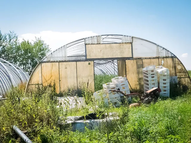 Soja und Klimaschutz