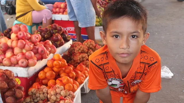 `Sulawesi`