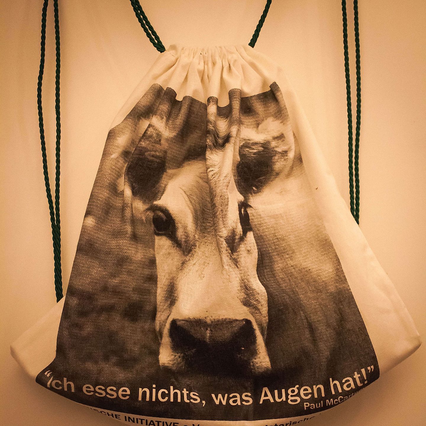 2015_09_DIY-Turnbeutel-19