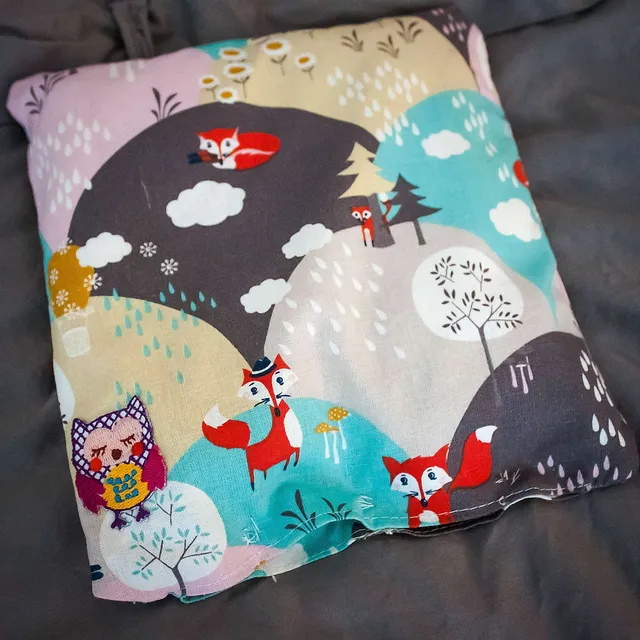 DIY Körnerkissen