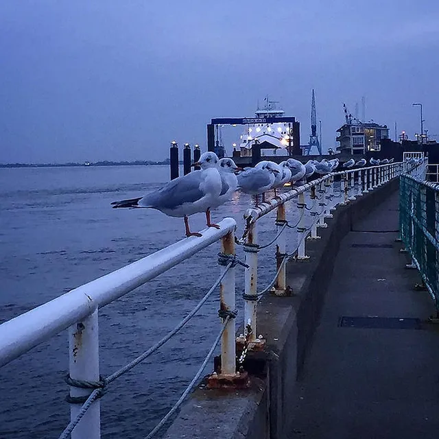 Gruß aus Cuxhafen