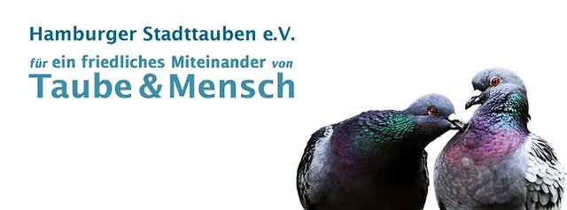 `Stadttauben`