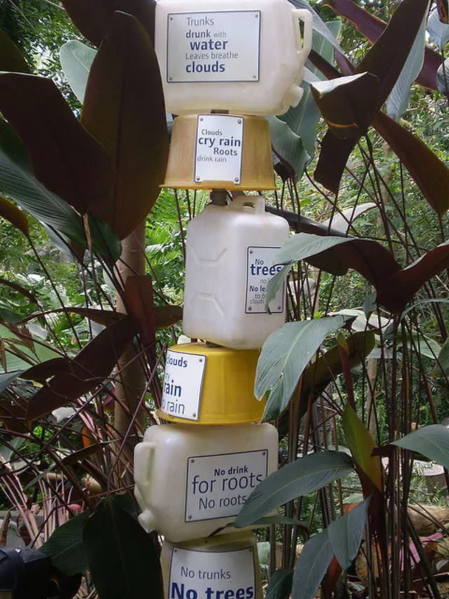 `Zero Waste`