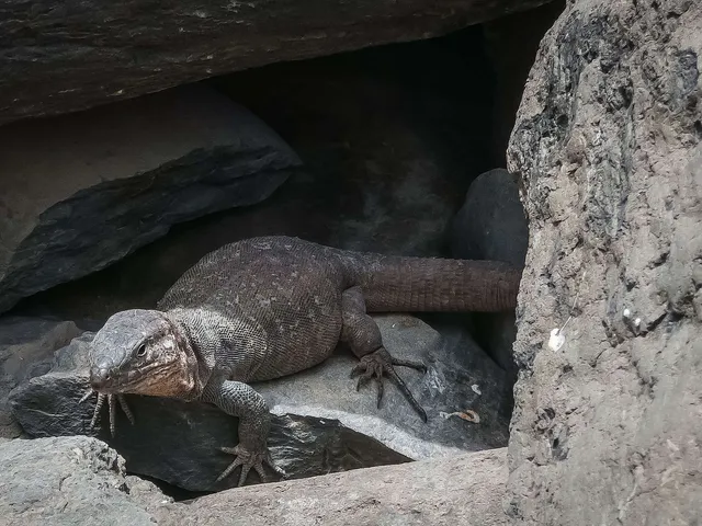 Maspalomas Leuchtturm