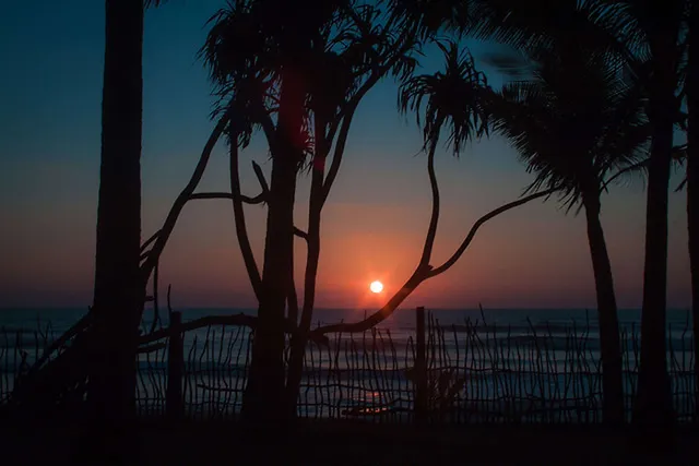 `Blind Date`