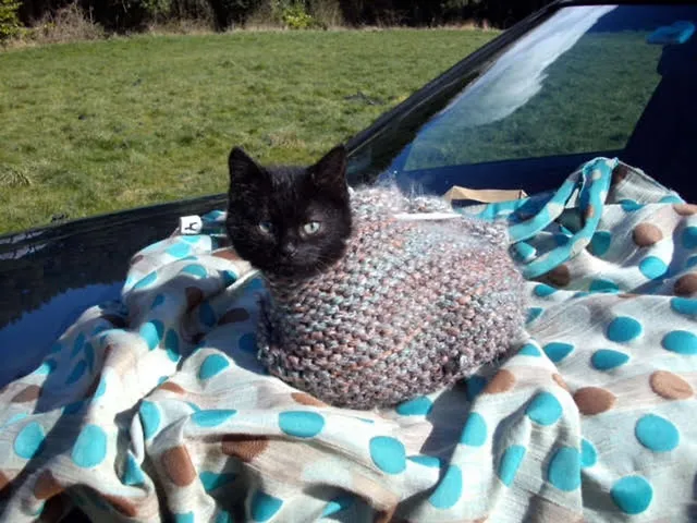 `Puss In Boots`