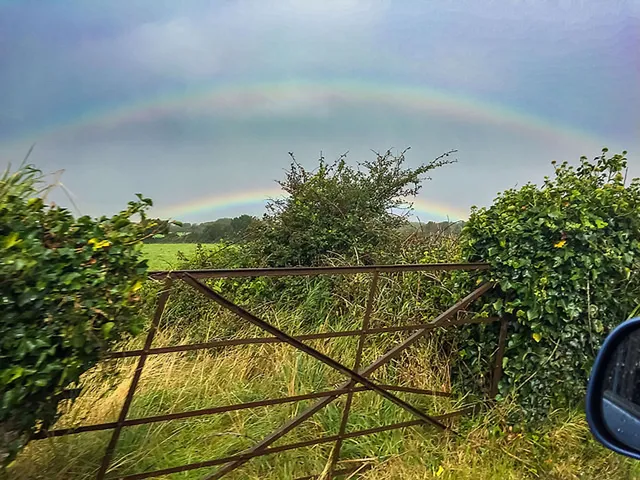 `Regenbogen`