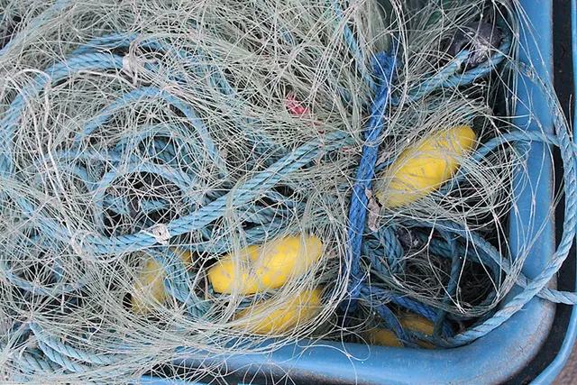 Forscher hoffen auf plastikfressendes Enzym