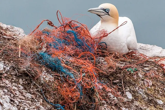 `Mikroplastik`