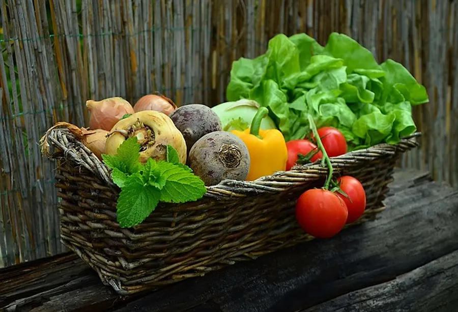 2018_07_vegetables-752153_640