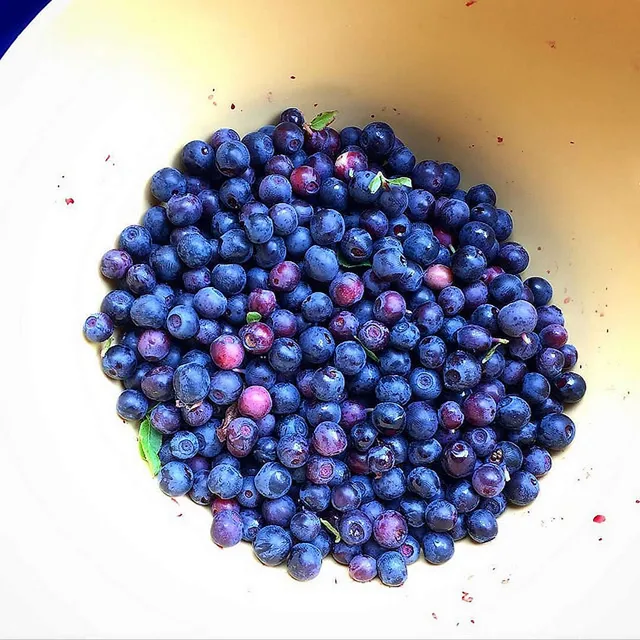 `Rohveganes`