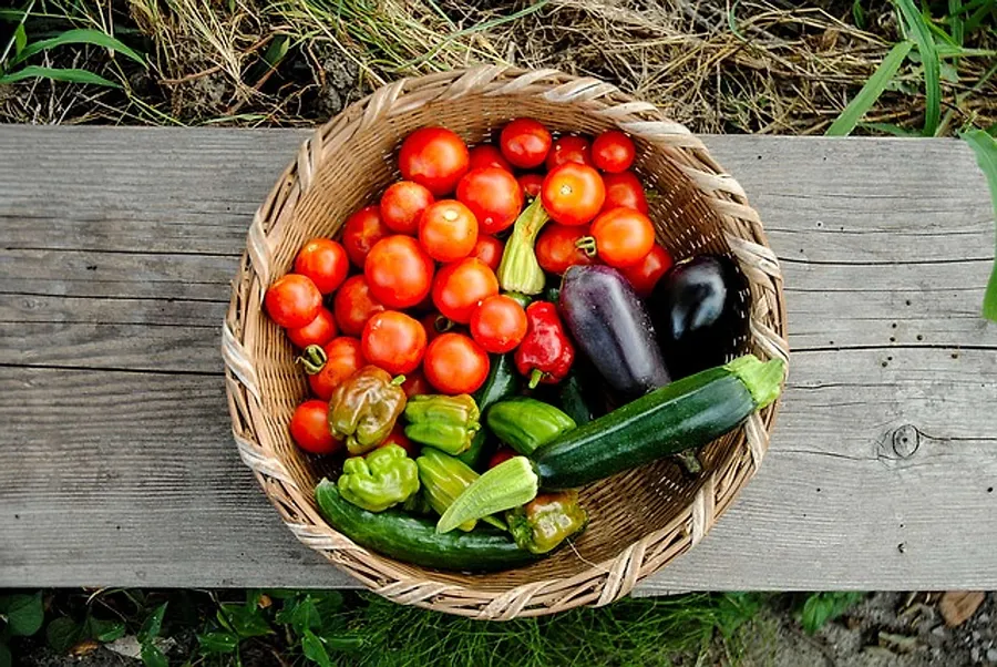 2018_08_harvest-3611940_640