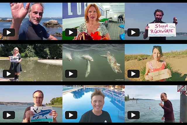 Petition gegen illegale Fisch-Rückwürfe