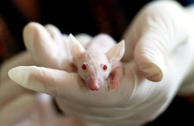Sinnlose Botox-Versuche mit Mäusen müssen gestoppt werden