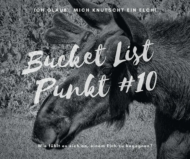 `elch`