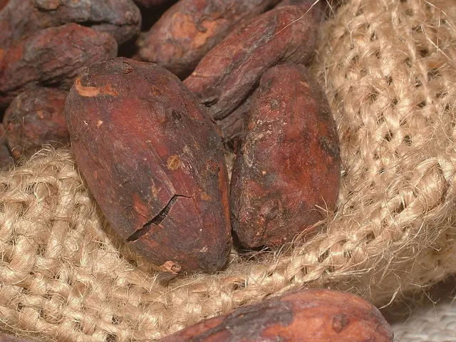 `Schokolade`