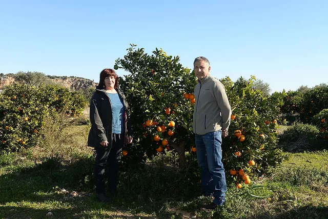 `Orangen`