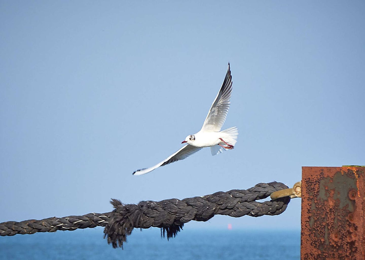 2019_02_2019-02-17-cuxhaven