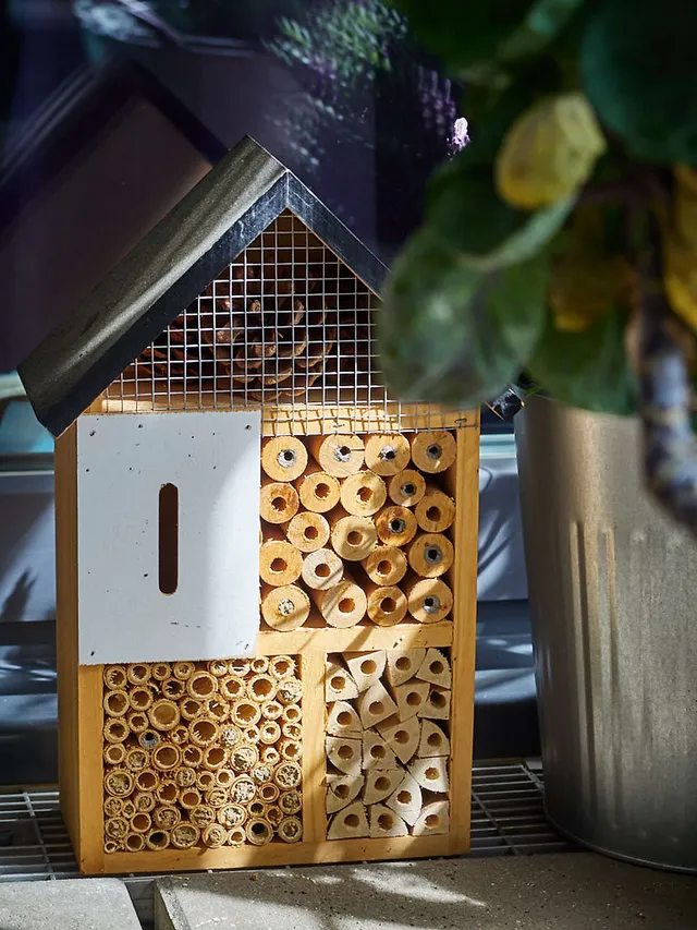 `insektenhotel`