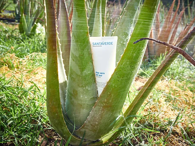 `santaverde-finca`