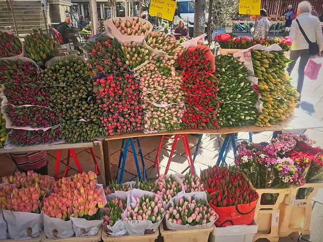 `bielefeld`