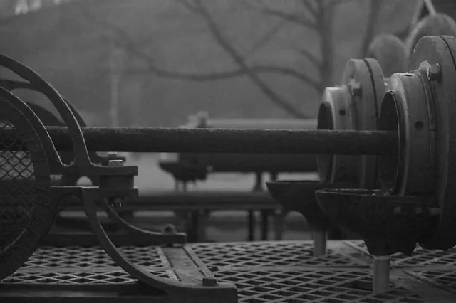 `cradle-to-cradle`