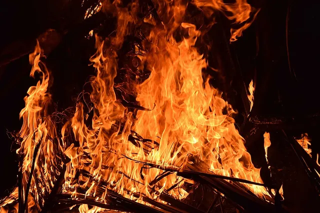 Feuer im Amazonas