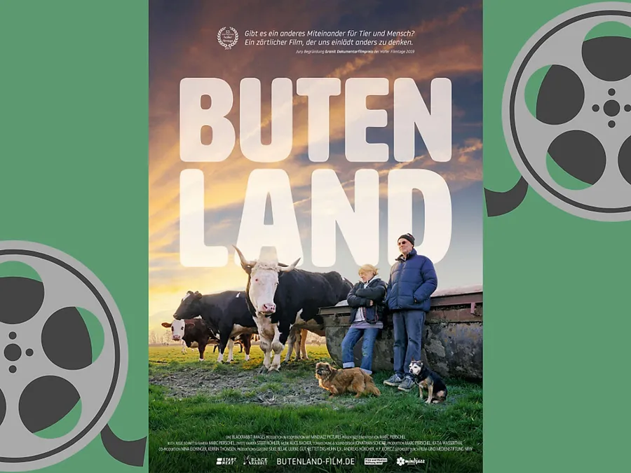 2020_01_Movie-Header.png