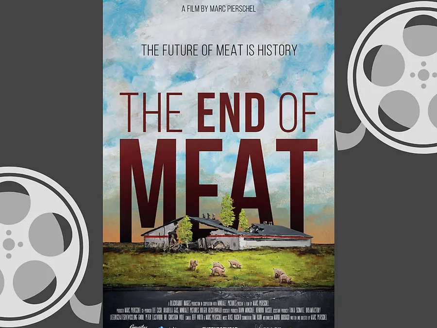 2020_02_movie-header.png