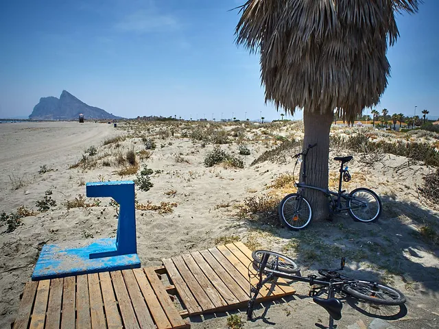 `corona`
