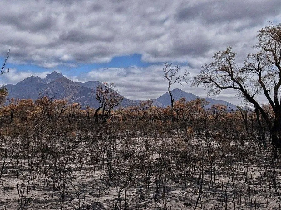 2020_07_buschfeuer-australien