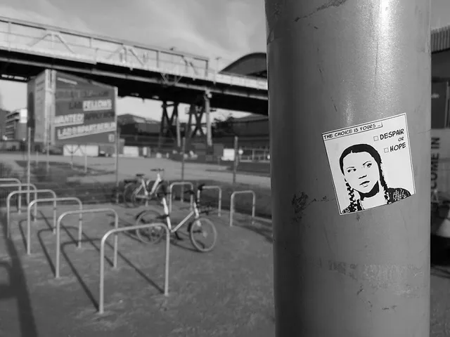 Greta Thunberg spendet 1 Mio Euro