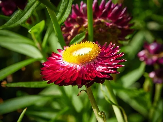 `loslassen`
