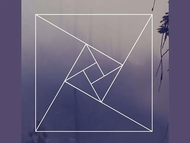 `Lotus`