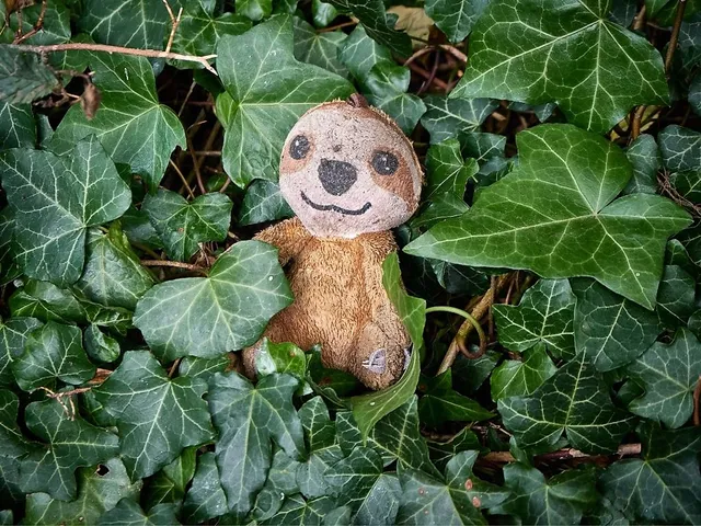 Spaziergang für die Seele