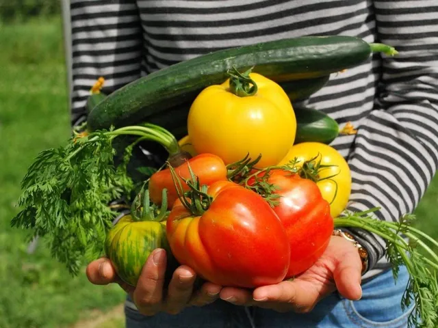 Mehr als "nur" ein Gemüsegarten