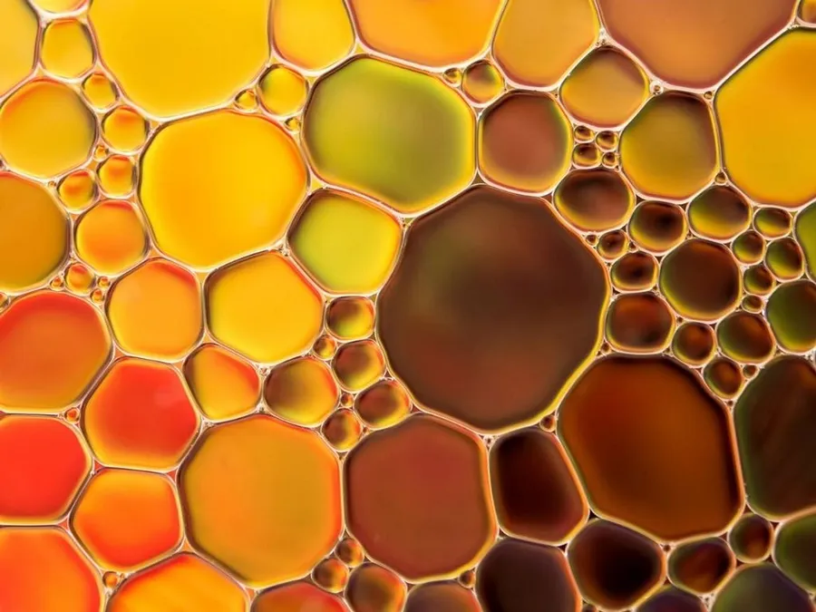 2022-04-05---palmoel-alternative-mikroalgenoel-jpg-imagine-f8b808_b87120_1024_768