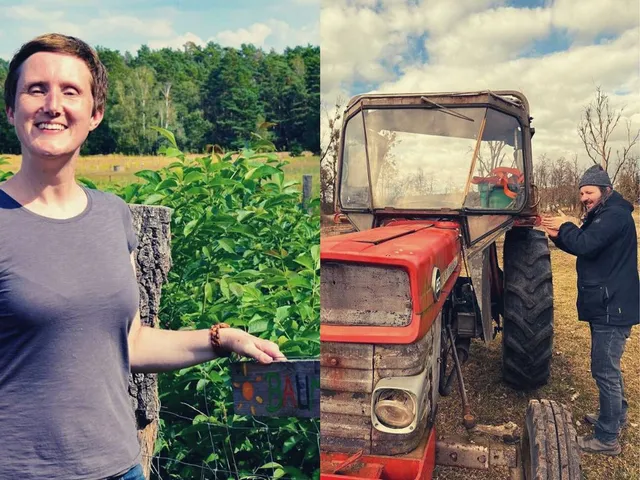 Ein Feld adoptieren und die Ernte bekommen